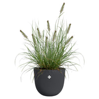 Pot d'extérieur Sereh round anthracite ELHO -  - Bakker