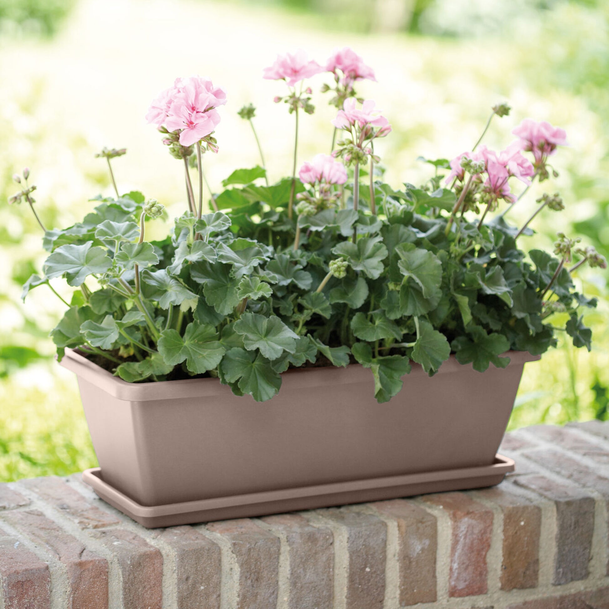 Jardinière Barcelona Taupe ELHO - Bakker