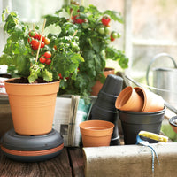 Vente Pot de culture Green Basics Terre cuite - 