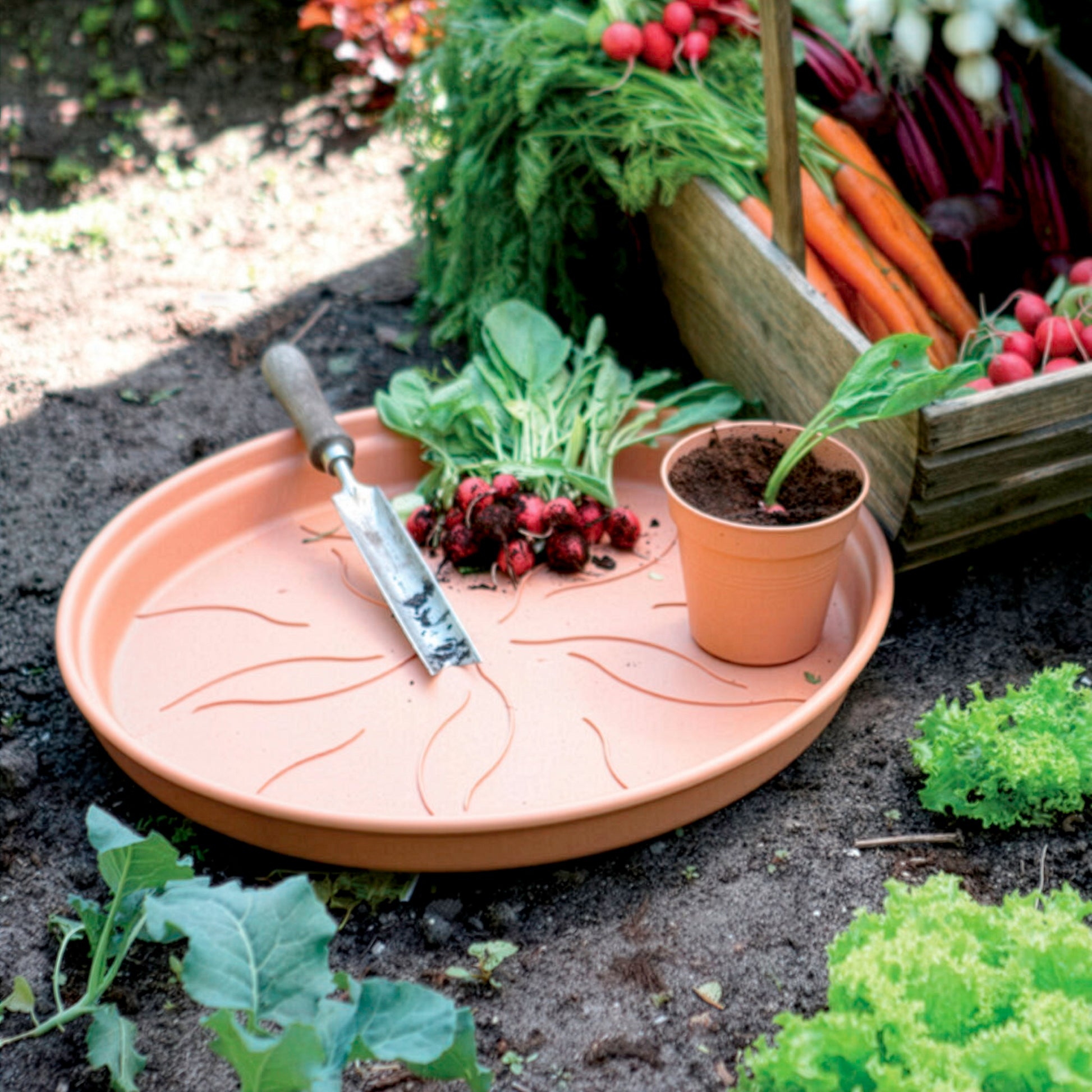 Soucoupe Green Basics Terre cuite ELHO -  - Bakker