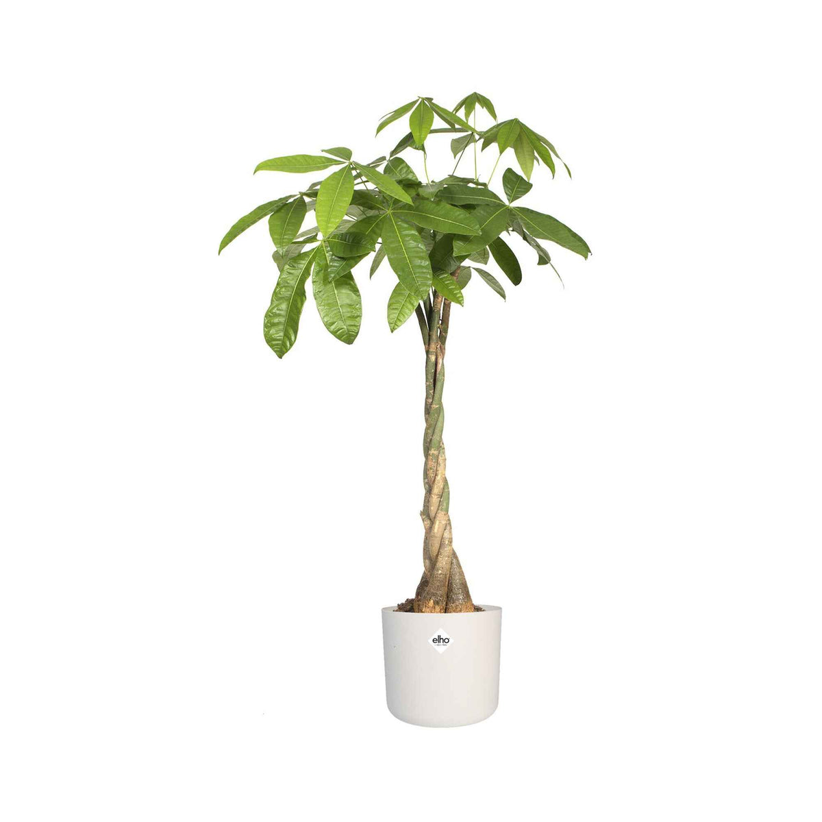 Entretien et Matériel - Elho Pot B.for soft rond blanc - 