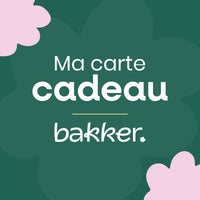 carte cadeau