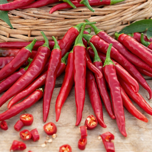 Piment de Cayenne