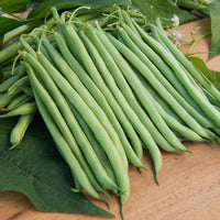 Collection d'Haricots nains - Collection de 3x100g de haricots nains contender, king horn wax, ai - Bakker