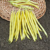 Haricot nain beurre De Rocquencourt (200 g) - Bakker