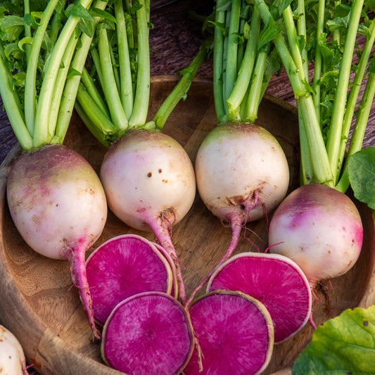 Radis Red Meat - Bakker