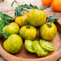 Plants potagers - Plant Tomate Green Zebra - Solanum lycopersicum green zebra