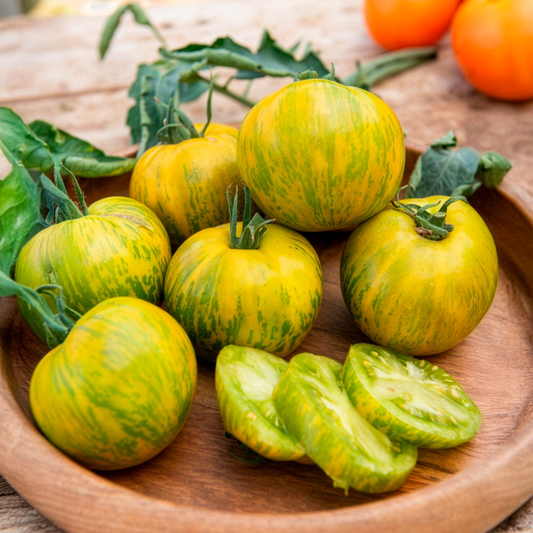 Plants potagers - Plant Tomate Green Zebra - Solanum lycopersicum green zebra