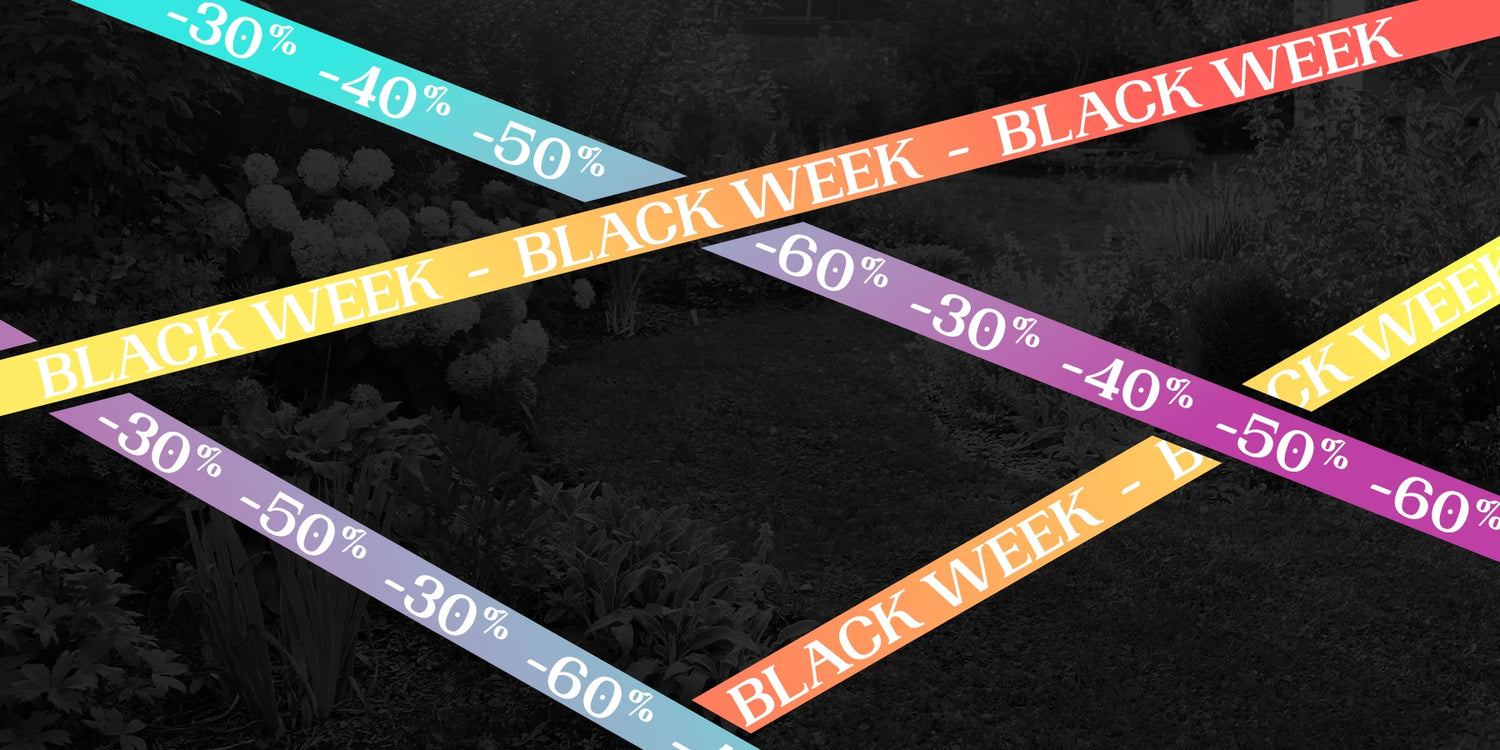 Black Week: jusqu'à -60% de remise sur les arbustes