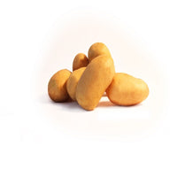 Pomme de terre Blanche - Solanum tuberosum blanche (cn 991131) - Bakker