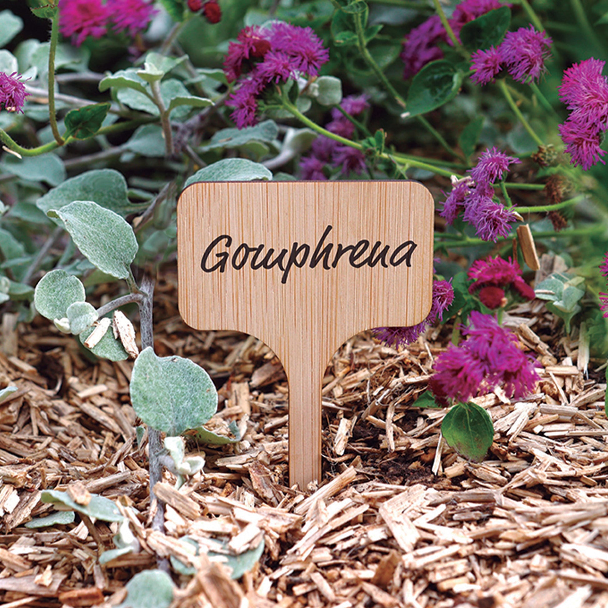 Etiquette à planter en bambou - Bakker