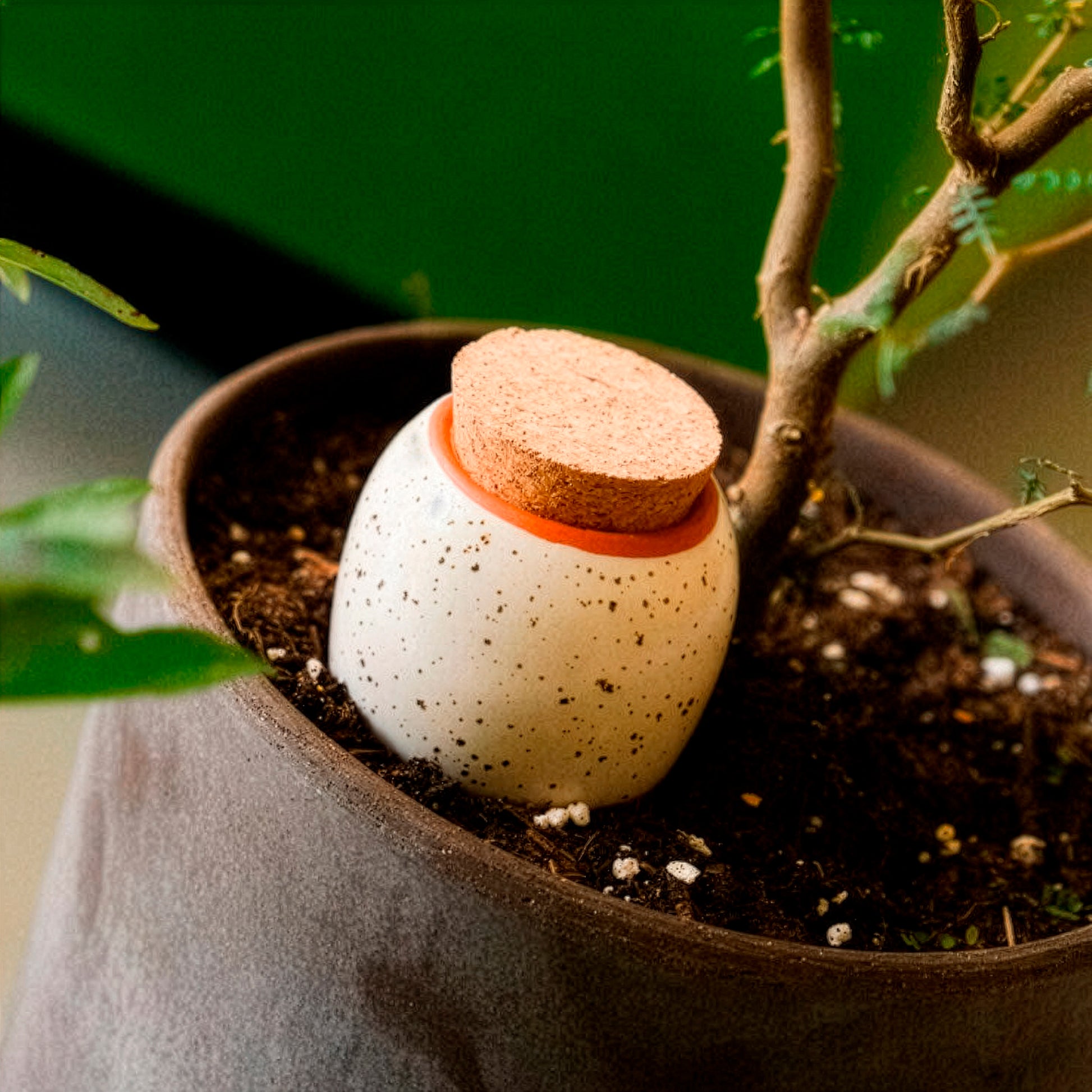 Olla hydratante blanc grainé -  - Bakker