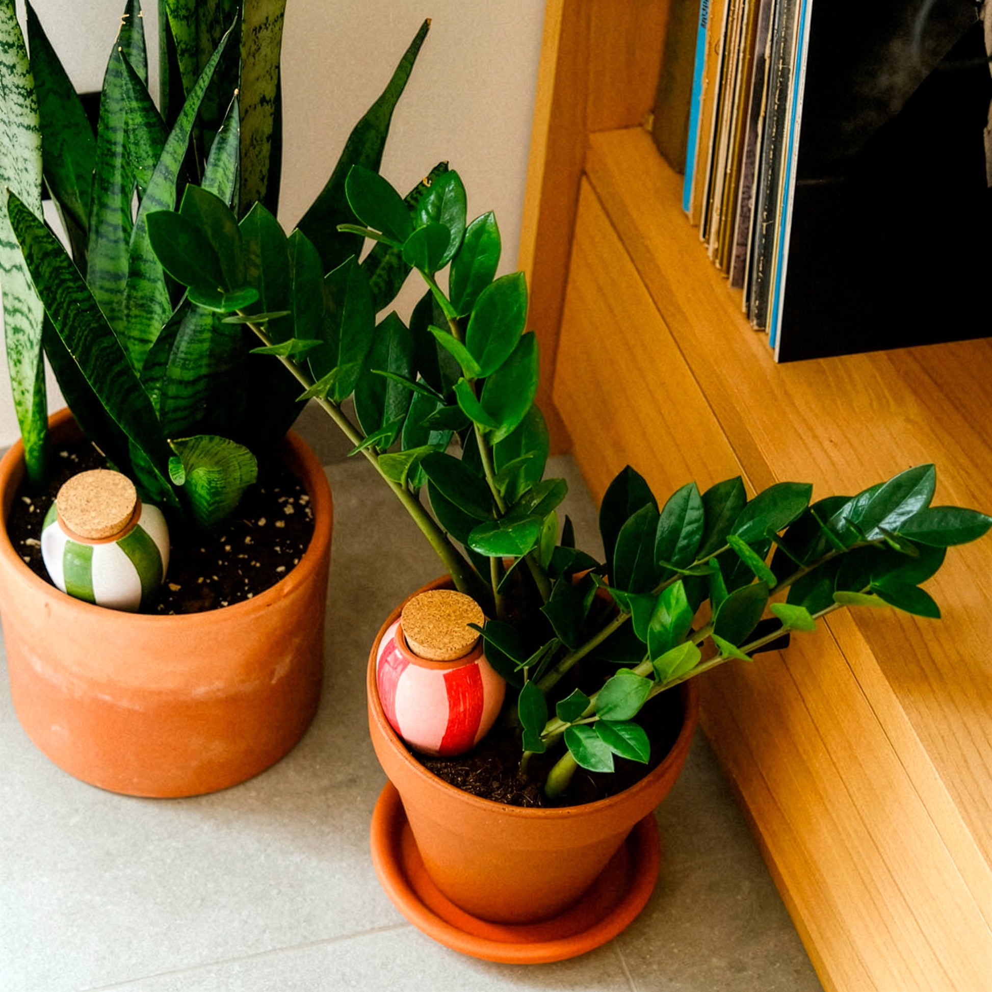 Trio Mini Olla - Les Rayés -  - Bakker