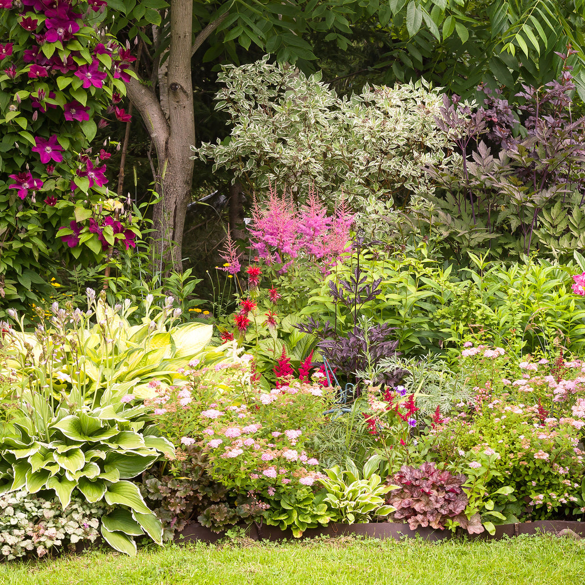 Nos conseils pour le jardin