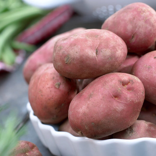 Pomme de terre Désirée