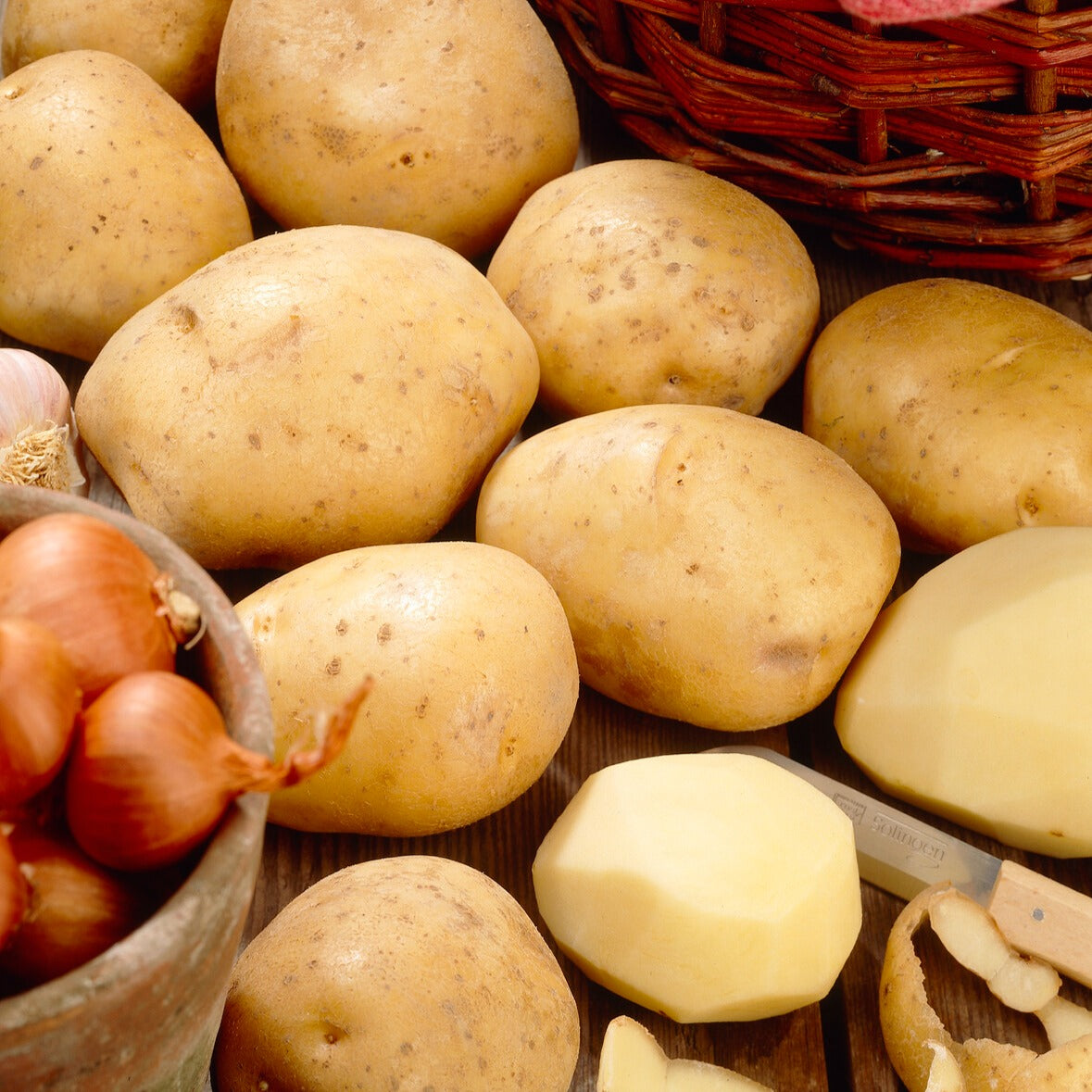 Solanum tuberosum bintje - 25 Pommes de terre Bintje - Plants de pommes de terre