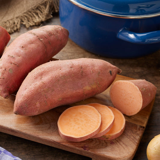 Patate douce - Bakker