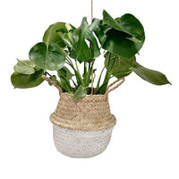 Belly Basket blanc - Bakker