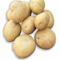 25 Pommes de terre Vitabella Bio - Solanum tuberosum vitabella - Pommes de terre