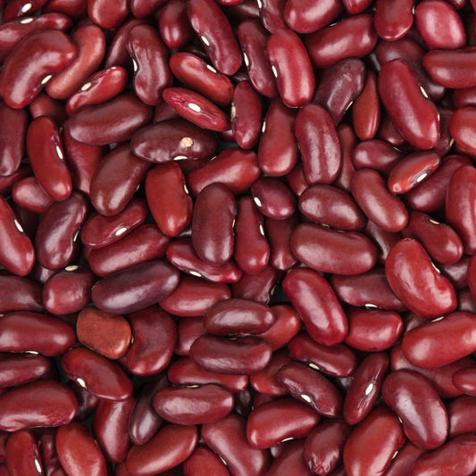 Haricot rouge - Bakker