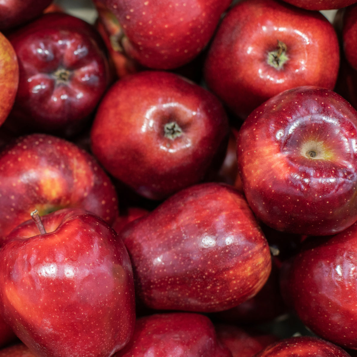 Pommier Red Chief - Bakker