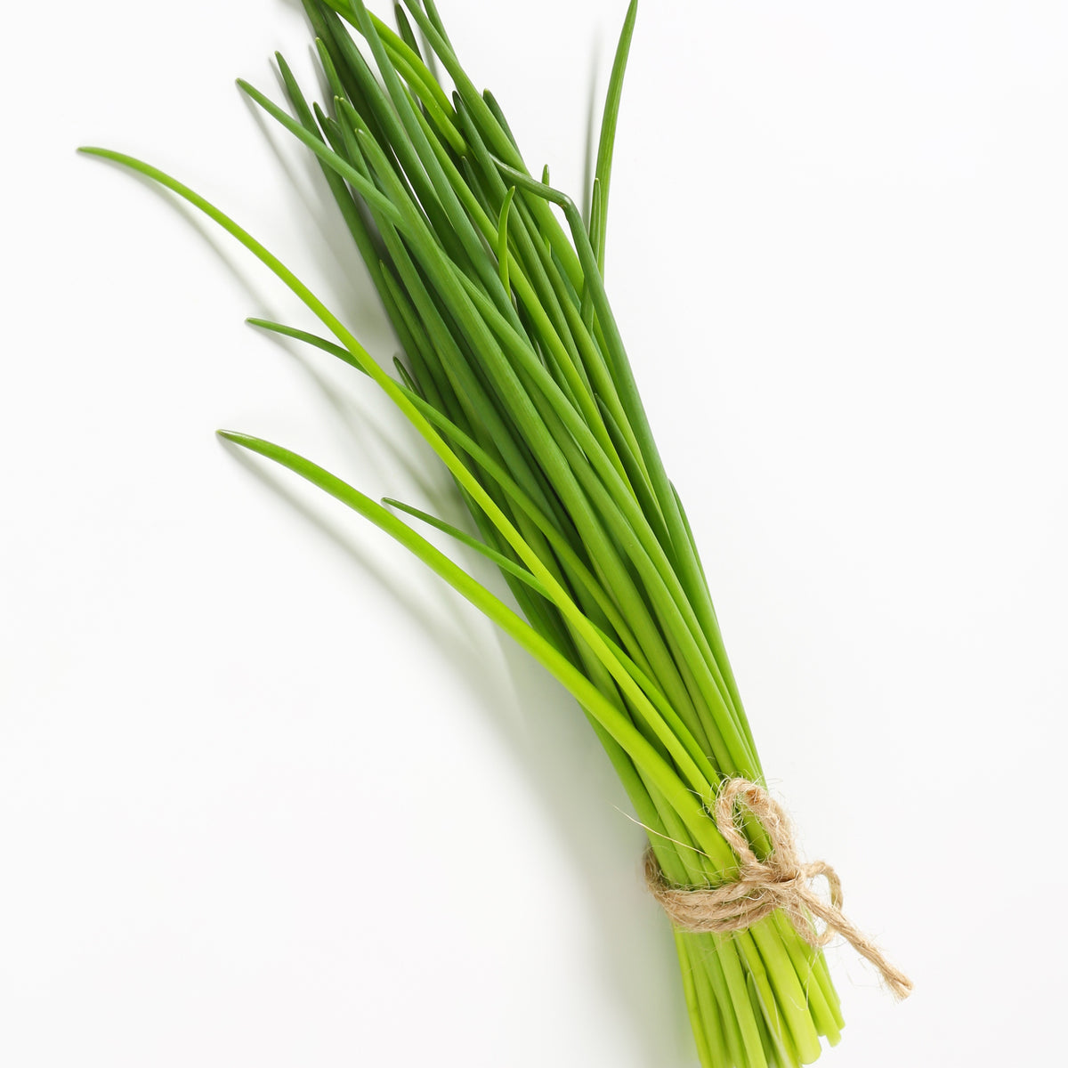 Herbes Aromatiques - Collection de 4 Plants Aromatiques basilic, ciboulette, persil, thym - Basilic, ciboulette, persil, thym