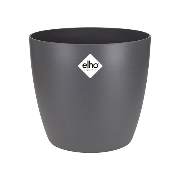 Bakker - Collection de 4 plantes dépolluantes + cache pots Elho gris - Luchtz. plant 4 st
