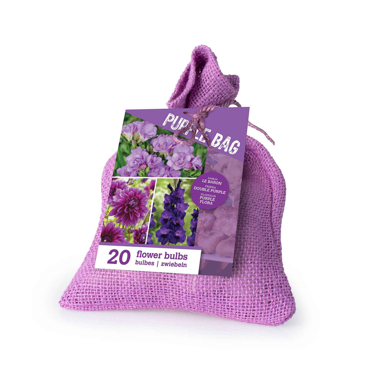 Dahlia, gladiolus, freesia - 20 Bulbes de fleurs The Purple Bag en mélange - Pack de bulbes pour bordure