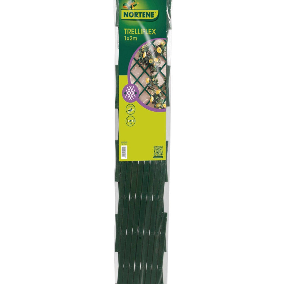 - Treillis extensible - Treillis