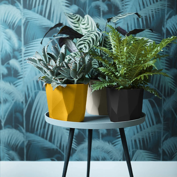 Vente Elho Cache-pot B for rock ocre