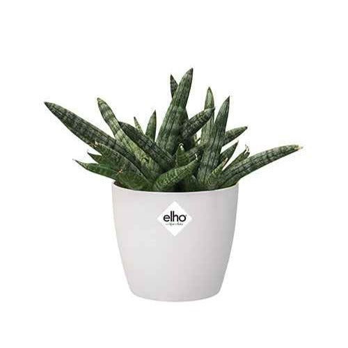 Elho Pot Brussels rond blanc - Bakker