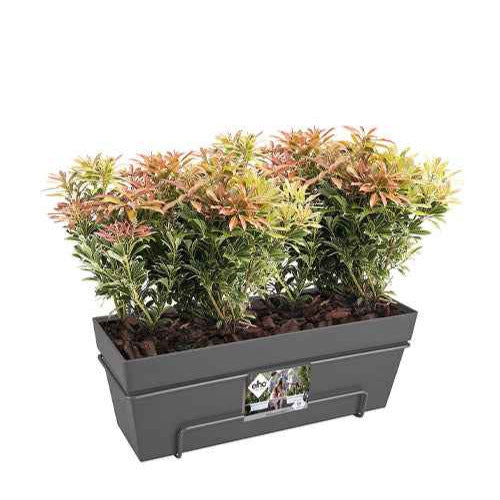 Jardinières et bacs à fleurs - Elho Balconnière Loft urban anthracite - 