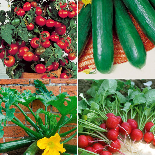 Collection de légumes pour balcon - Bakker