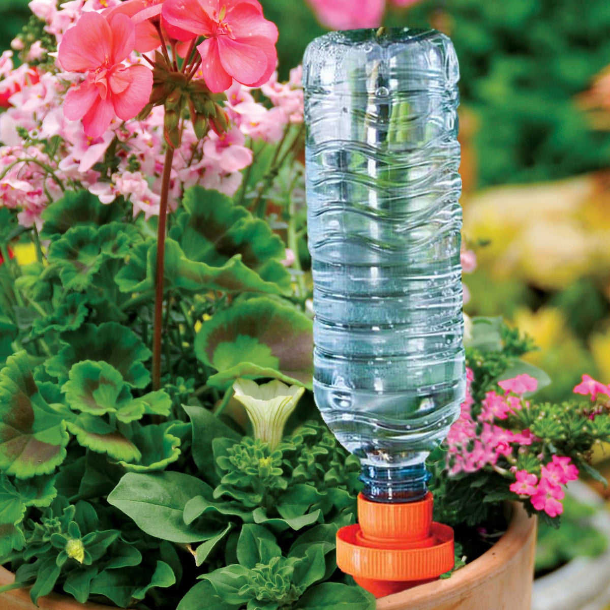 4 Cônes d’arrosage Aquasolo S HOZELOCK -  - Bakker