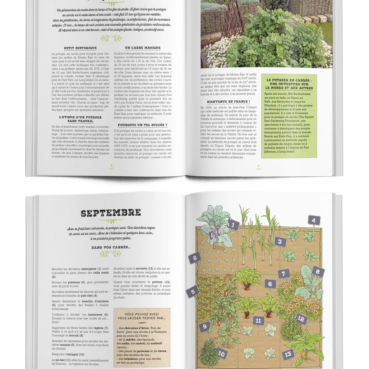 Mon carré potager au fil des mois -  - Bakker