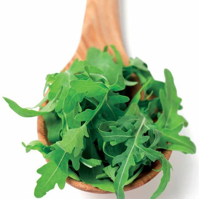 Roquette cultivée Bio - Eruca sativa - Bakker