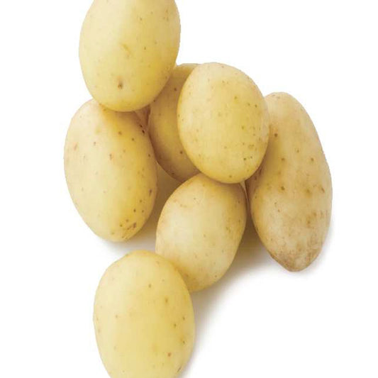 25 Pommes de terre Penni Bio - Bakker