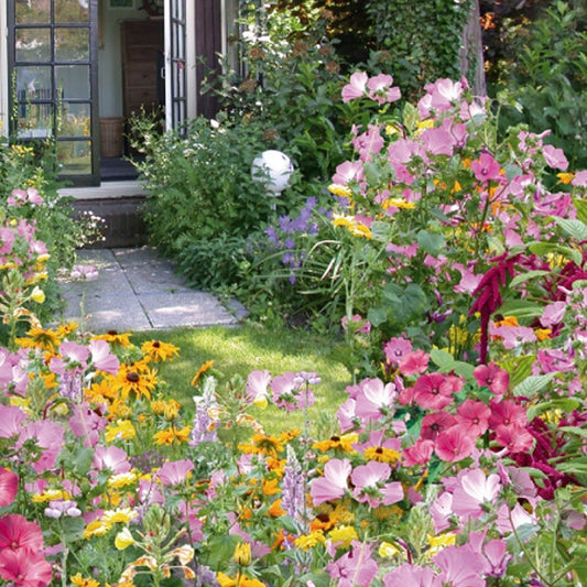 Graines de fleurs annuelles Cottage Garden en mélange - 5 m² - Bakker