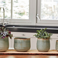 TS pot de fleurs Iris rond vert - Pot pour l'intérieur - Petits pots d'intérieur