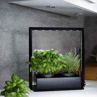 Parus - Mini jardin d'intérieur - Mini farm M10 36 cm - Aménagement du potager
