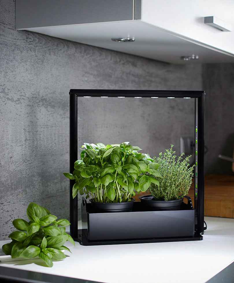 Parus - Mini jardin d'intérieur - Mini farm M10 36 cm - Aménagement du potager