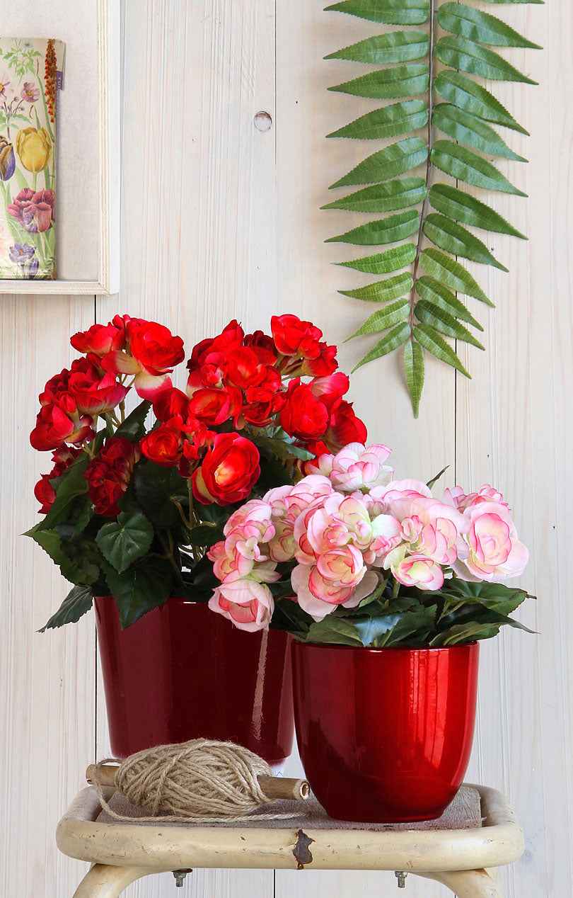 Mica pot de fleurs Lago rond rouge - Pot pour l'intérieur - Grands pots d'intérieur