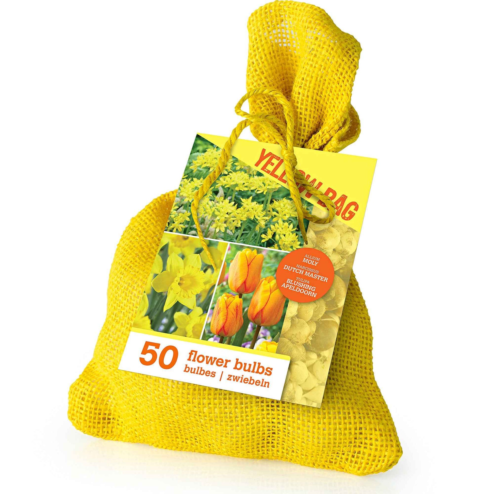 50x bulbes de fleurs dans un sac de jute Jaune - Bulbes à fleurs
