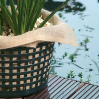 3x Tissu de plantes aquatiques - Bâche pour bassin