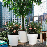 Elho pot de fleurs Loft urban rond - Pot pour l'extérieur - Grands pots d'extérieur