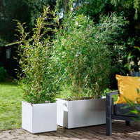 Elho bac à plantes Vivo Matt Finish carré blanc avec roues - Pot pour l'intérieur et l'extérieur - Grands pots d'extérieur