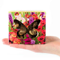 100x Bulbes - Mélange 'Butterfly' - Mélanges de bulbes de fleurs