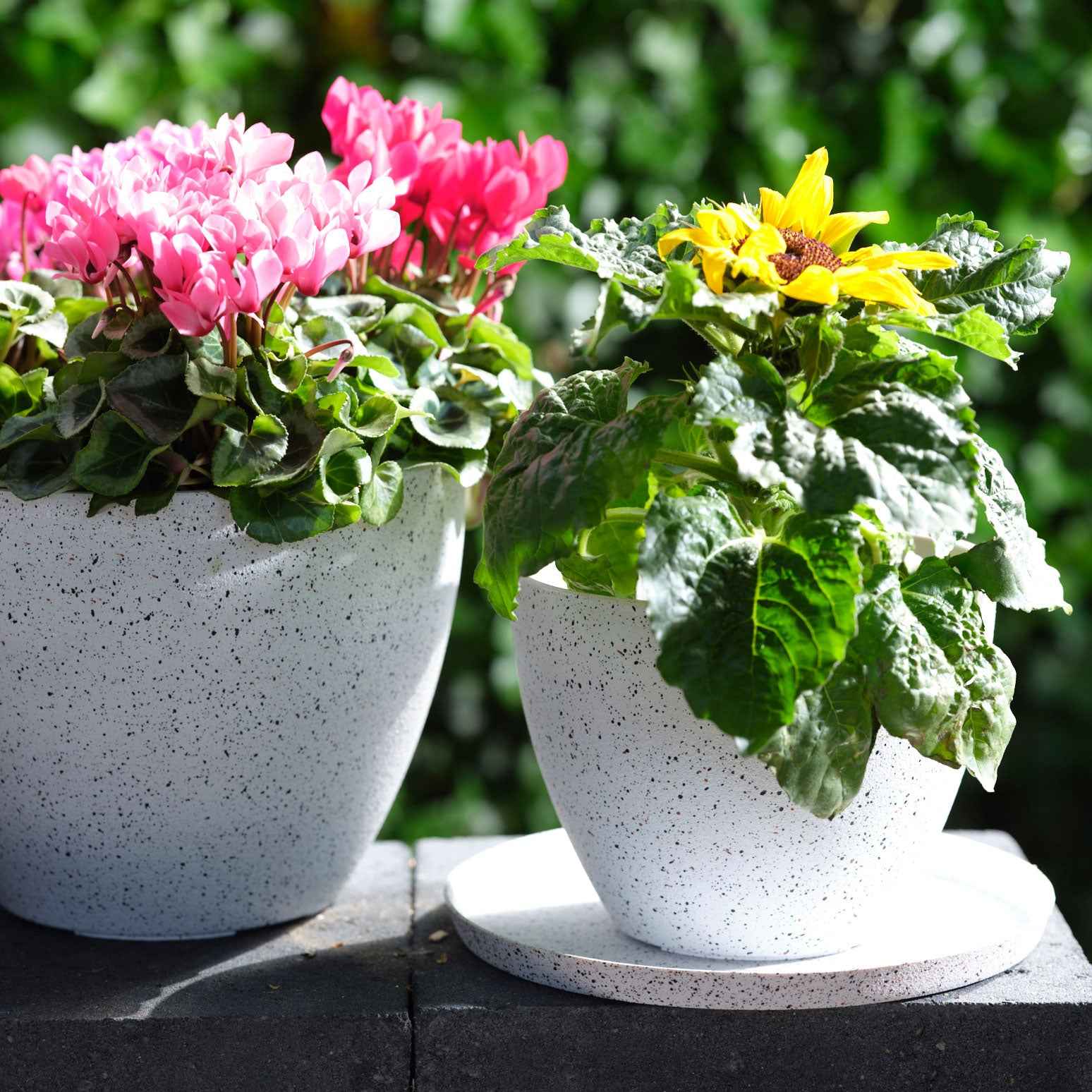 TS pot de fleurs Nova rond blanc - Pot pour l'extérieur - Marques