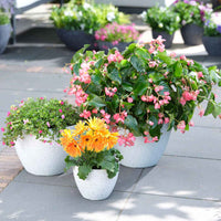 TS pot de fleurs Nova rond blanc - Pot pour l'extérieur - Grands pots de fleurs
