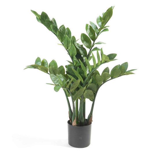 Plante artificielle Zamioculcas zamiifolia Zamioculcas  avec cache-pot noir - Grandes plantes artificielles